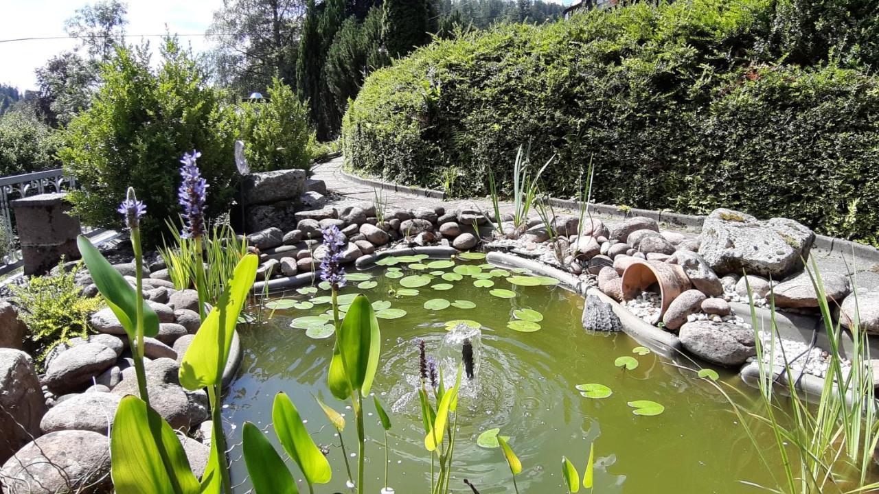 Landhaus Schwaben Schonmunzach Ngoại thất bức ảnh